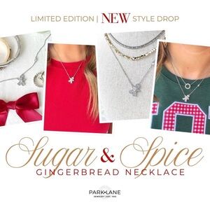 Park Lane Limited Edition Sugar & Spice Necklace! Brand New! Keepsake Box!!